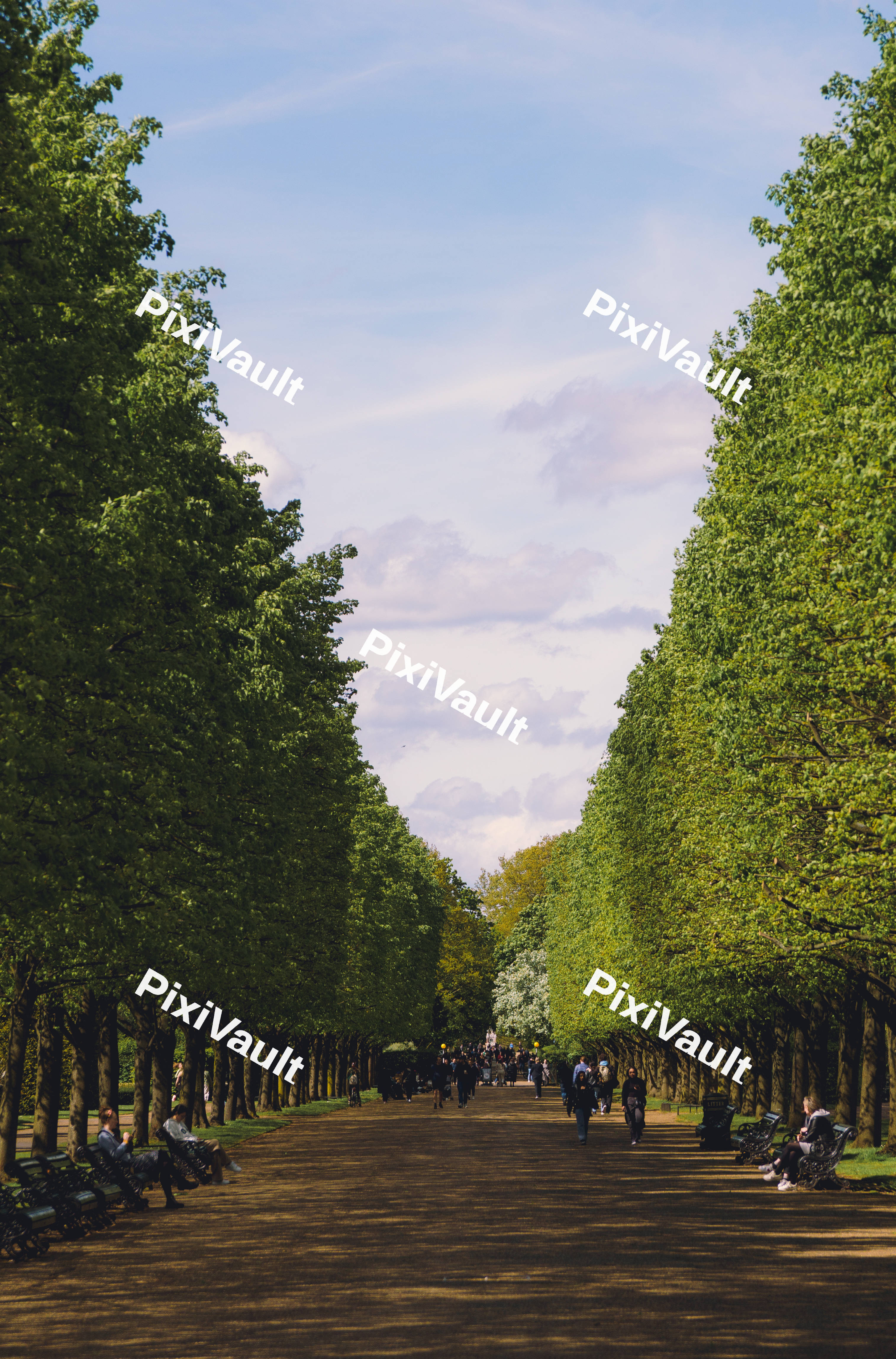 Regents Park Path